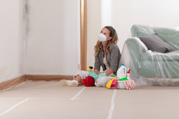 Reliable Mold Remediation contractor in Jackson, TN by WQB Mold Removal